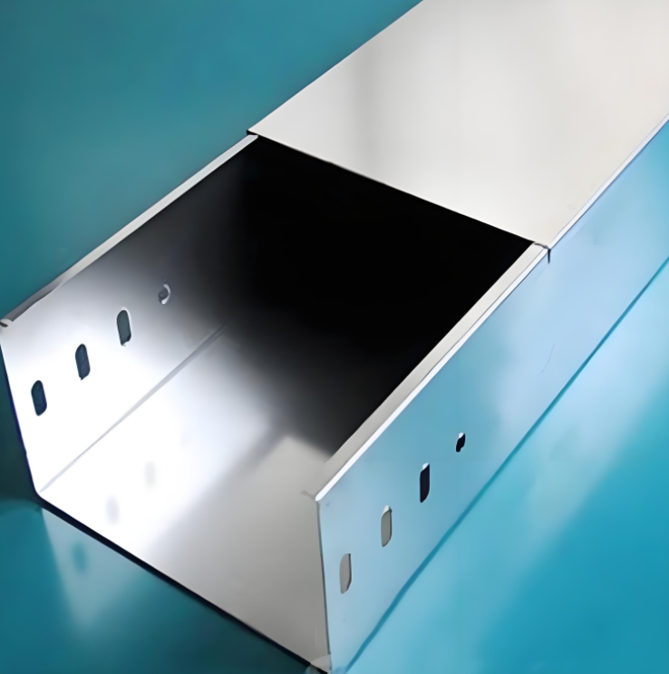 100*200猫咪最新入口